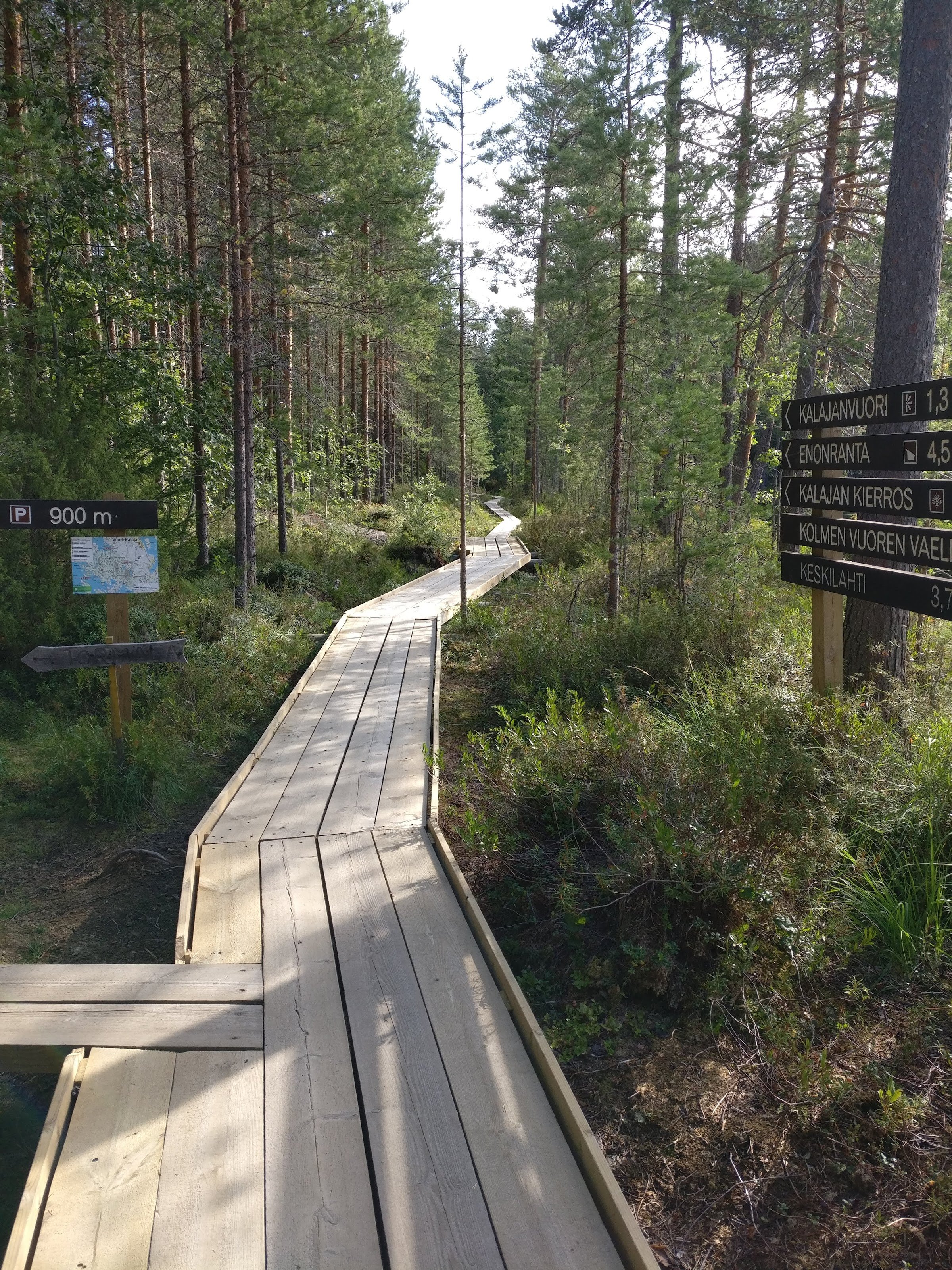 Etelä‑Konnevesi National Park